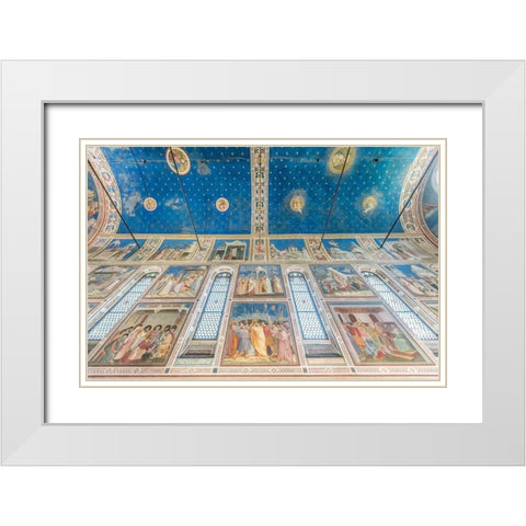 Italy-Padua-Scrovegni Chapel Ceiling with frescoes painted by Giotto in the 14th century White Modern Wood Framed Art Print with Double Matting by Tilley, Rob