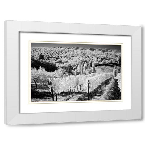 Italy Tuscany-Infrared image of vineyards in southern Tuscany White Modern Wood Framed Art Print with Double Matting by Eggers, Terry