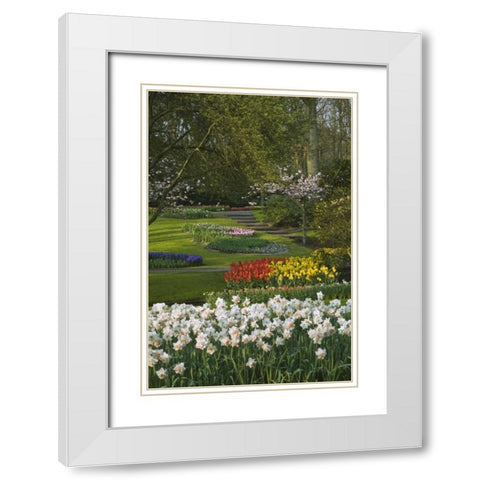 Netherlands, Lisse Manicured garden beds White Modern Wood Framed Art Print with Double Matting by Flaherty, Dennis