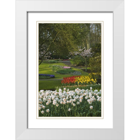 Netherlands, Lisse Manicured garden beds White Modern Wood Framed Art Print with Double Matting by Flaherty, Dennis