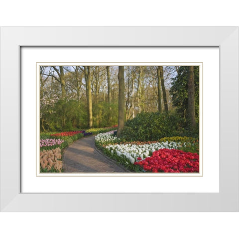 Netherlands, Lisse Path through garden flowers White Modern Wood Framed Art Print with Double Matting by Flaherty, Dennis
