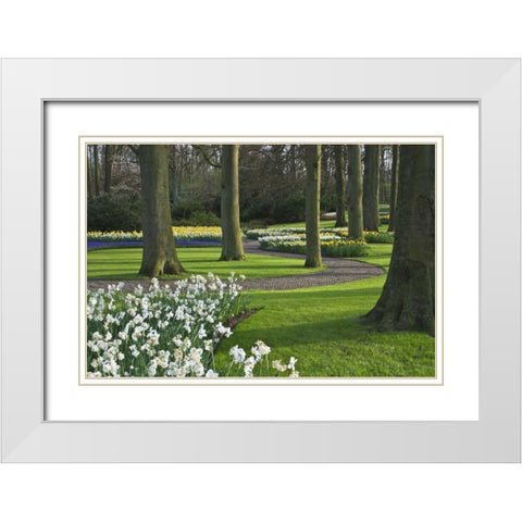 Netherlands, Lisse Blooming flowers and trees White Modern Wood Framed Art Print with Double Matting by Flaherty, Dennis