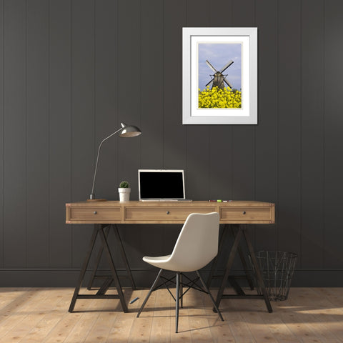 Netherlands, Kinderdijk Windmill with flowers White Modern Wood Framed Art Print with Double Matting by Flaherty, Dennis