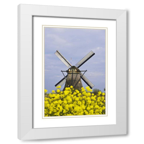 Netherlands, Kinderdijk Windmill with flowers White Modern Wood Framed Art Print with Double Matting by Flaherty, Dennis