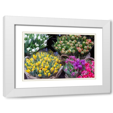 Netherlands-Amsterdam Tulip bouquets on display by vendor  White Modern Wood Framed Art Print with Double Matting by Jaynes Gallery