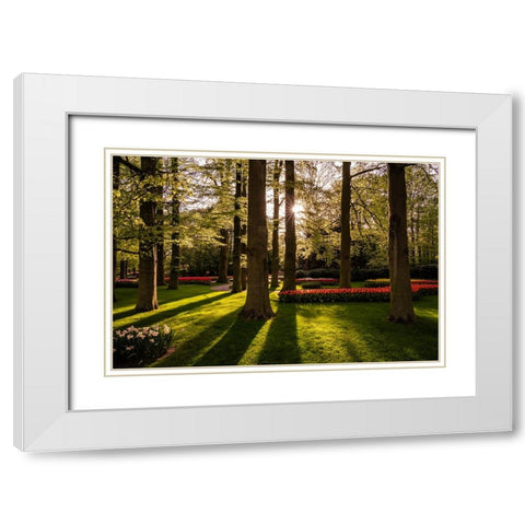 Europe-The Netherlands-Lisse-Keukenhof Gardens at sunrise White Modern Wood Framed Art Print with Double Matting by Jaynes Gallery