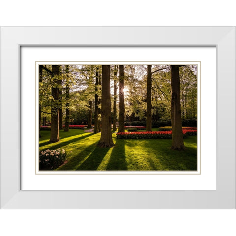 Europe-The Netherlands-Lisse-Keukenhof Gardens at sunrise White Modern Wood Framed Art Print with Double Matting by Jaynes Gallery