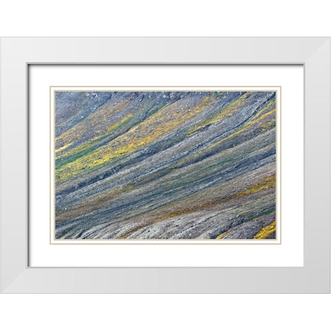Pattern on mountain slope-Svalbard-Norway White Modern Wood Framed Art Print with Double Matting by Jones, Adam