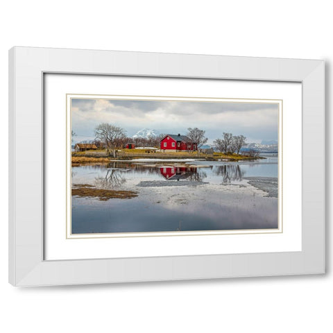 Norway- Lofoten Islands. View across Indrepollen Lake. White Modern Wood Framed Art Print with Double Matting by Looney, Hollice