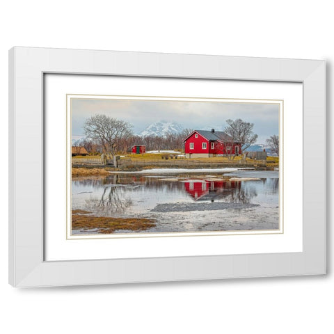 Norway- Lofoten Islands. View across Indrepollen Lake. White Modern Wood Framed Art Print with Double Matting by Looney, Hollice