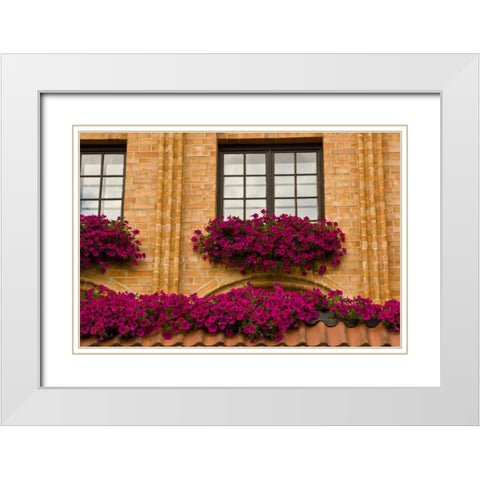 Poland, Gdansk Window boxes with purple petunias White Modern Wood Framed Art Print with Double Matting by Ross, Nancy ,  Steve