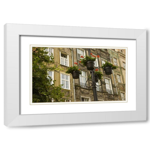 Poland, Gdansk Flower pots decorate buildings White Modern Wood Framed Art Print with Double Matting by Ross, Nancy ,  Steve