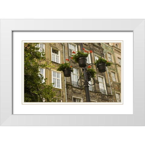 Poland, Gdansk Flower pots decorate buildings White Modern Wood Framed Art Print with Double Matting by Ross, Nancy ,  Steve