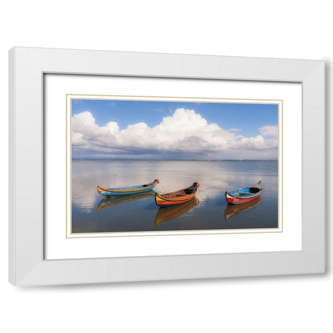 Europe-Portugal-Aveiro Lagoon-Traditional fishing boats moored in water White Modern Wood Framed Art Print with Double Matting by Jaynes Gallery