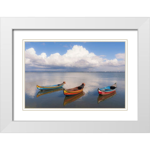 Europe-Portugal-Aveiro Lagoon-Traditional fishing boats moored in water White Modern Wood Framed Art Print with Double Matting by Jaynes Gallery