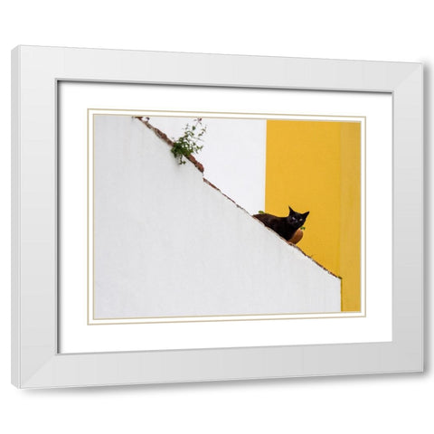 Portugal-Obidos-Black cat sitting on stairs White Modern Wood Framed Art Print with Double Matting by Eggers, Julie