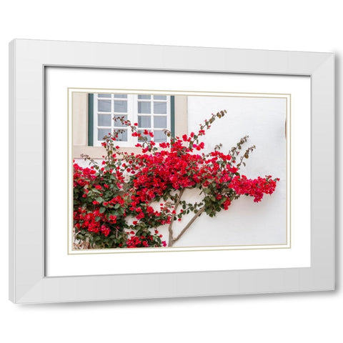 Portugal-Obidos-Beautiful red bougainvillea blooming against a white stone wall White Modern Wood Framed Art Print with Double Matting by Eggers, Julie