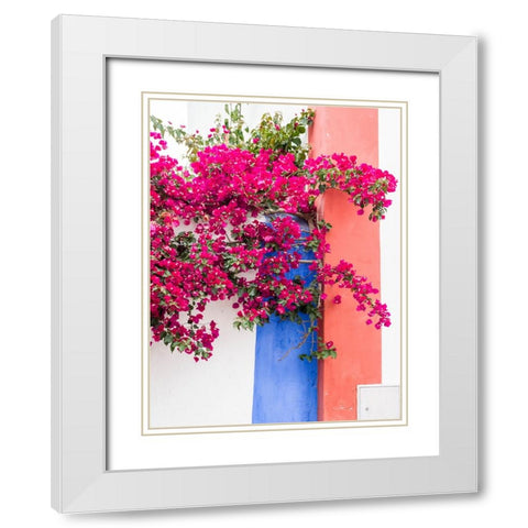 Portugal-Obidos-Dark pink bougainvillea vine against a blue-orange and white striped wall White Modern Wood Framed Art Print with Double Matting by Eggers, Julie