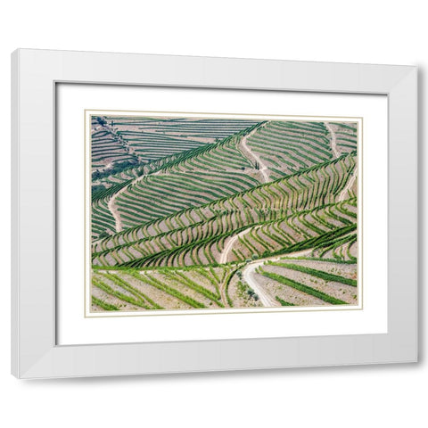 Portugal-Douro Valley-Terraced vineyards lining the hills White Modern Wood Framed Art Print with Double Matting by Eggers, Julie