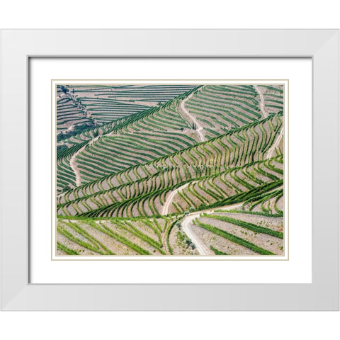 Portugal-Douro Valley-Terraced vineyards lining the hills White Modern Wood Framed Art Print with Double Matting by Eggers, Julie