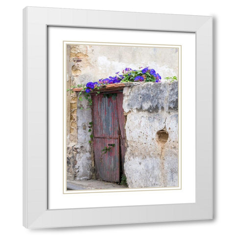 Portugal-Aveiro-Old red metal door with bright blue and pink morning glory flower vine covering abo White Modern Wood Framed Art Print with Double Matting by Eggers, Julie