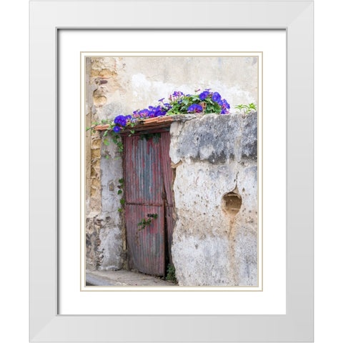 Portugal-Aveiro-Old red metal door with bright blue and pink morning glory flower vine covering abo White Modern Wood Framed Art Print with Double Matting by Eggers, Julie