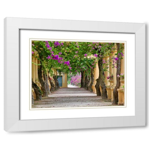 Portugal-Aveiro-Parque Dom Pedro Infante in Aveiro-Stone balustrade with pergola and columns White Modern Wood Framed Art Print with Double Matting by Eggers, Julie