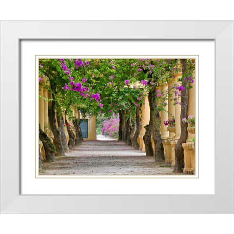 Portugal-Aveiro-Parque Dom Pedro Infante in Aveiro-Stone balustrade with pergola and columns White Modern Wood Framed Art Print with Double Matting by Eggers, Julie