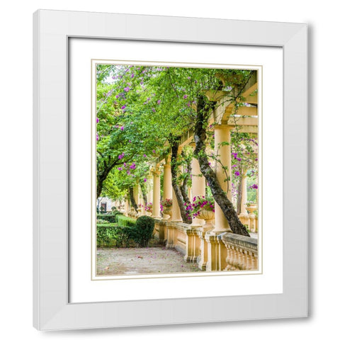Portugal-Aveiro-Parque Dom Pedro Infante in Aveiro-Stone balustrade with pergola and columns White Modern Wood Framed Art Print with Double Matting by Eggers, Julie
