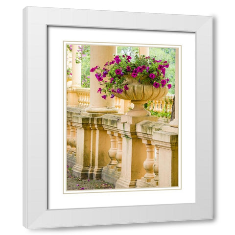 Portugal-Aveiro-Parque Dom Pedro Infante in Aveiro-Stone balustrade with pergola and columns White Modern Wood Framed Art Print with Double Matting by Eggers, Julie