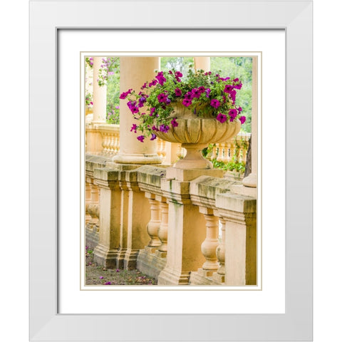 Portugal-Aveiro-Parque Dom Pedro Infante in Aveiro-Stone balustrade with pergola and columns White Modern Wood Framed Art Print with Double Matting by Eggers, Julie
