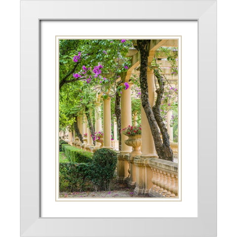 Portugal-Aveiro-Parque Dom Pedro Infante in Aveiro-Stone balustrade with pergola and columns White Modern Wood Framed Art Print with Double Matting by Eggers, Julie