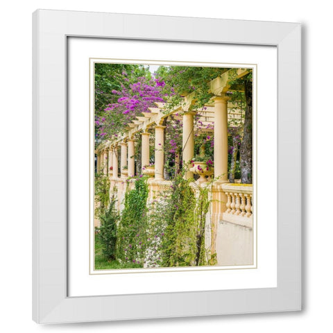 Portugal-Aveiro-Parque Dom Pedro Infante in Aveiro-Stone balustrade with pergola and columns White Modern Wood Framed Art Print with Double Matting by Eggers, Julie