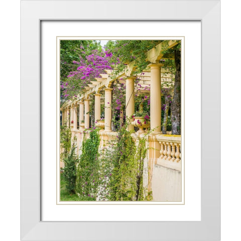 Portugal-Aveiro-Parque Dom Pedro Infante in Aveiro-Stone balustrade with pergola and columns White Modern Wood Framed Art Print with Double Matting by Eggers, Julie