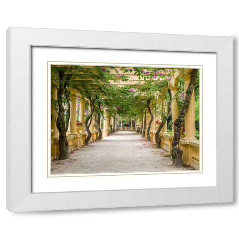 Portugal-Aveiro-Parque Dom Pedro Infante in Aveiro-Stone balustrade with pergola and columns White Modern Wood Framed Art Print with Double Matting by Eggers, Julie