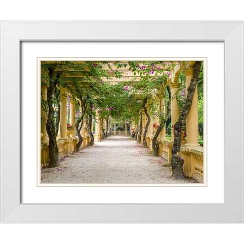 Portugal-Aveiro-Parque Dom Pedro Infante in Aveiro-Stone balustrade with pergola and columns White Modern Wood Framed Art Print with Double Matting by Eggers, Julie