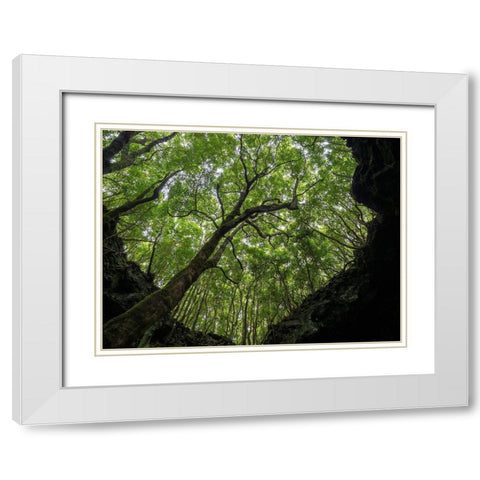 Lava tube Gruta das Torres-collapsed ceiling Pico Island White Modern Wood Framed Art Print with Double Matting by Zwick, Martin