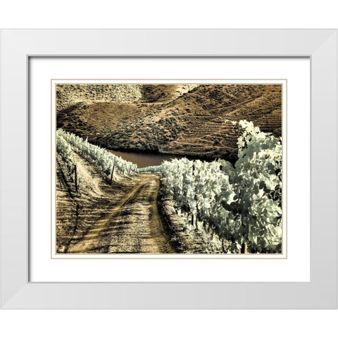 Portugal-Douro Valley-Backcountry road through the vineyards White Modern Wood Framed Art Print with Double Matting by Eggers, Terry