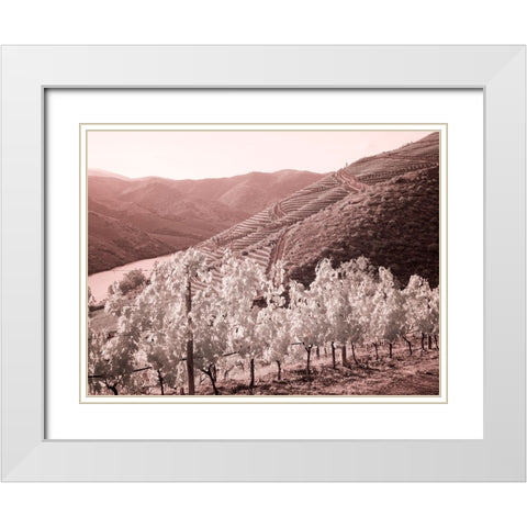 Portugal-Douro Valley-Vineyards draping the hills White Modern Wood Framed Art Print with Double Matting by Eggers, Terry