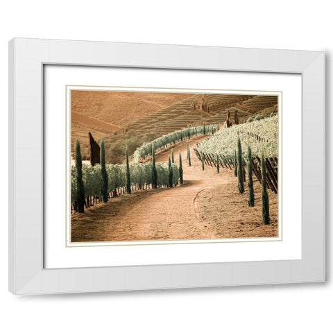 Portugal-Douro Valley-Backcountry road through the vineyards White Modern Wood Framed Art Print with Double Matting by Eggers, Terry