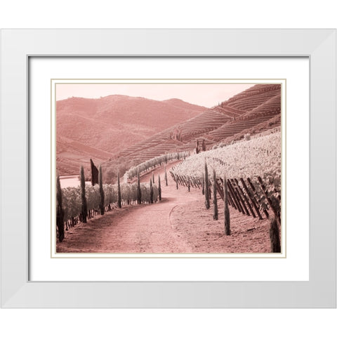 Portugal-Douro Valley-Backcountry road through the vineyards White Modern Wood Framed Art Print with Double Matting by Eggers, Terry