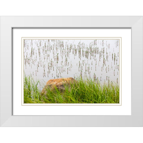 Plant and rock in the glacier river-Yttygran Island-Bering Sea-Russia Far East White Modern Wood Framed Art Print with Double Matting by Su, Keren