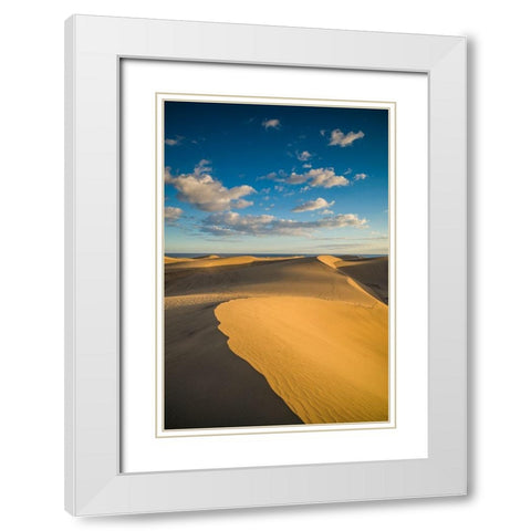 Spain-Canary Islands-Gran Canaria Island-Maspalomas-Maspalomas Dunes National Park White Modern Wood Framed Art Print with Double Matting by Bibikow, Walter