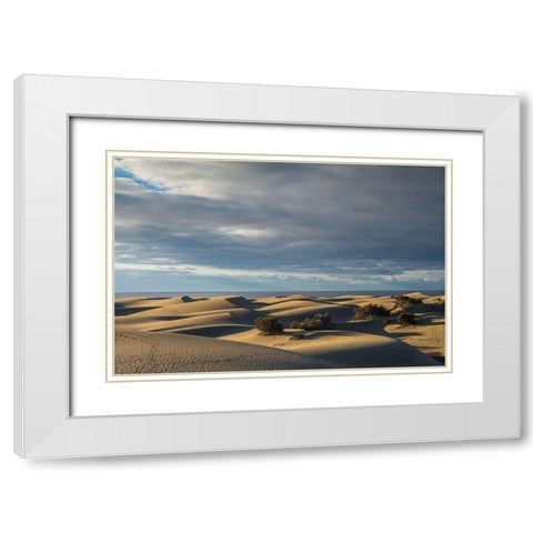 Spain-Canary Islands-Gran Canaria Island-Maspalomas-Maspalomas Dunes National Park White Modern Wood Framed Art Print with Double Matting by Bibikow, Walter