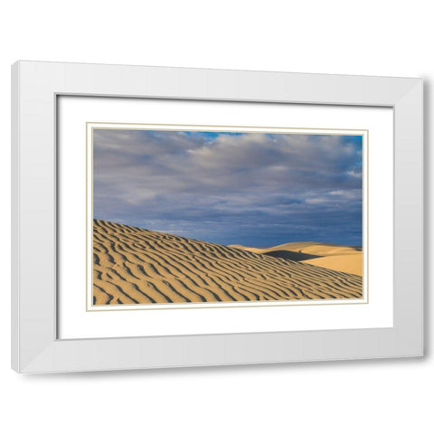 Spain-Canary Islands-Gran Canaria Island-Maspalomas-Maspalomas Dunes National Park White Modern Wood Framed Art Print with Double Matting by Bibikow, Walter