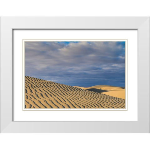 Spain-Canary Islands-Gran Canaria Island-Maspalomas-Maspalomas Dunes National Park White Modern Wood Framed Art Print with Double Matting by Bibikow, Walter