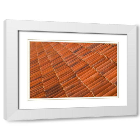 Canary Islands-Fuerteventura Island-La Oliva-Casa de los Coroneles-18th White Modern Wood Framed Art Print with Double Matting by Bibikow, Walter