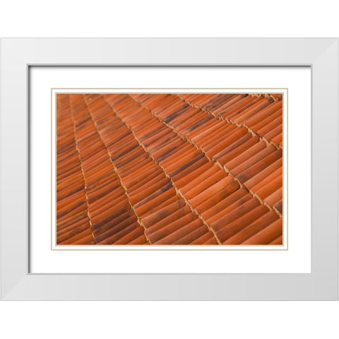 Canary Islands-Fuerteventura Island-La Oliva-Casa de los Coroneles-18th White Modern Wood Framed Art Print with Double Matting by Bibikow, Walter