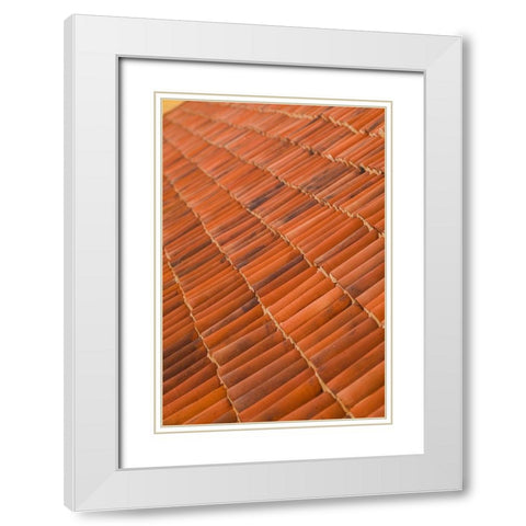 Canary Islands-Fuerteventura Island-La Oliva-Casa de los Coroneles-18th century White Modern Wood Framed Art Print with Double Matting by Bibikow, Walter
