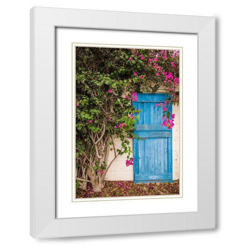 Canary Islands-Fuerteventura Island-La Oliva-blue door of garden shed White Modern Wood Framed Art Print with Double Matting by Bibikow, Walter